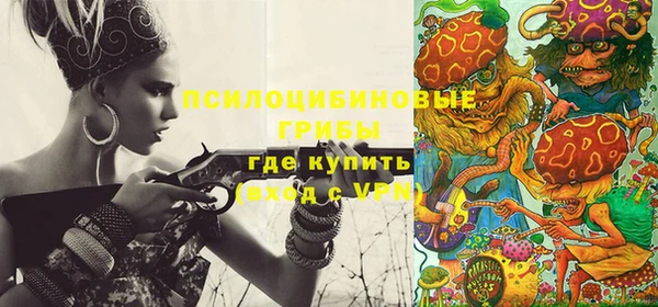 сатива Белокуриха