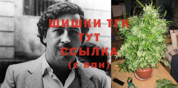 молекула духа Протвино