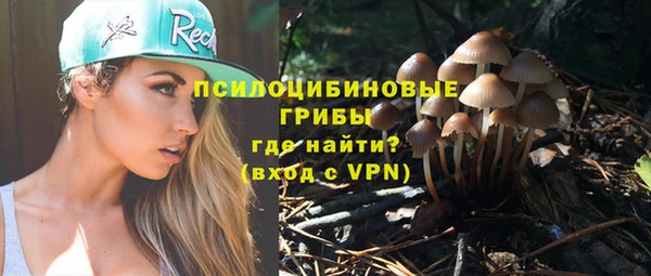эйфоретик Баксан