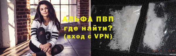 эйфоретик Баксан